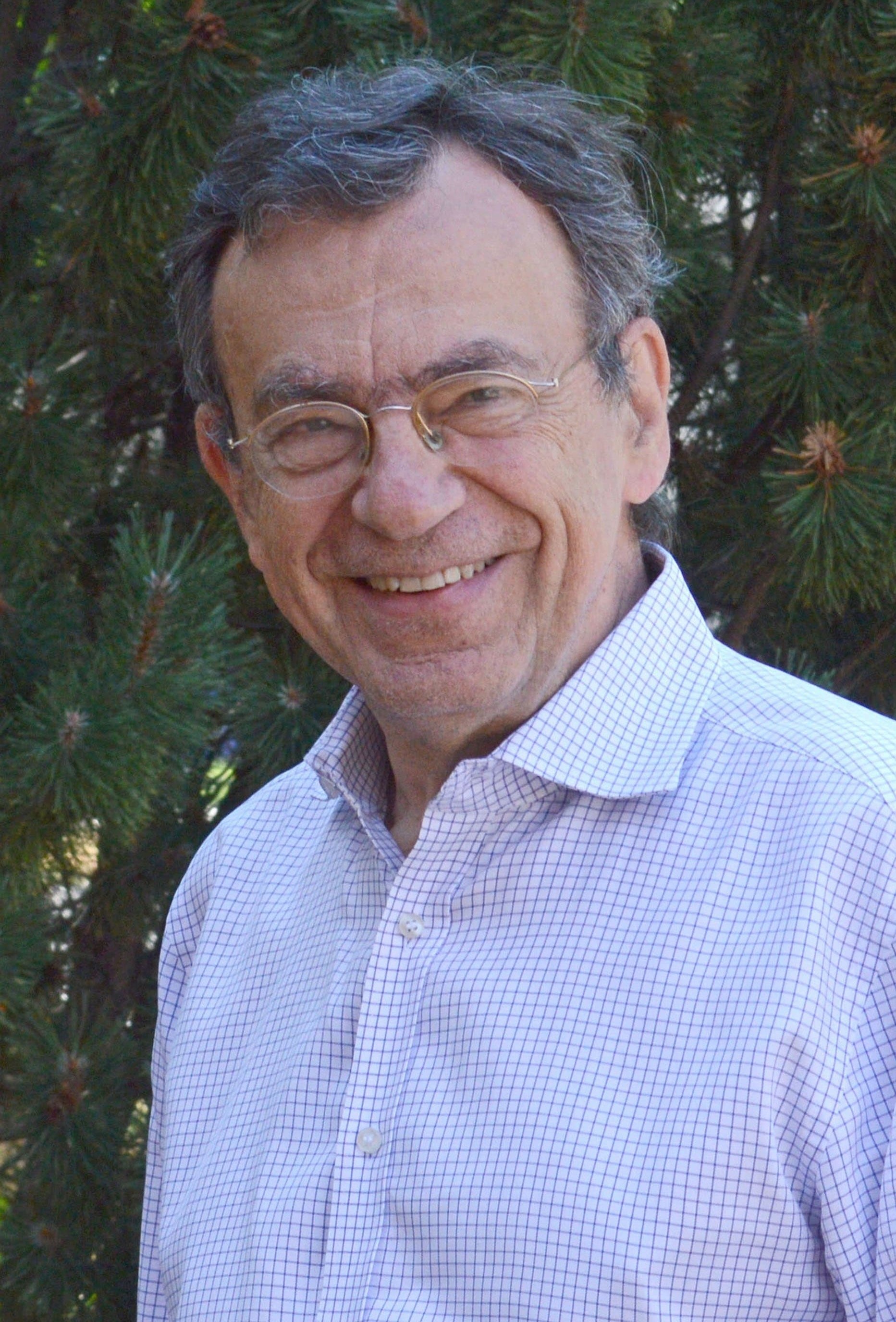prof. dr. sc. Ivan Damjanov